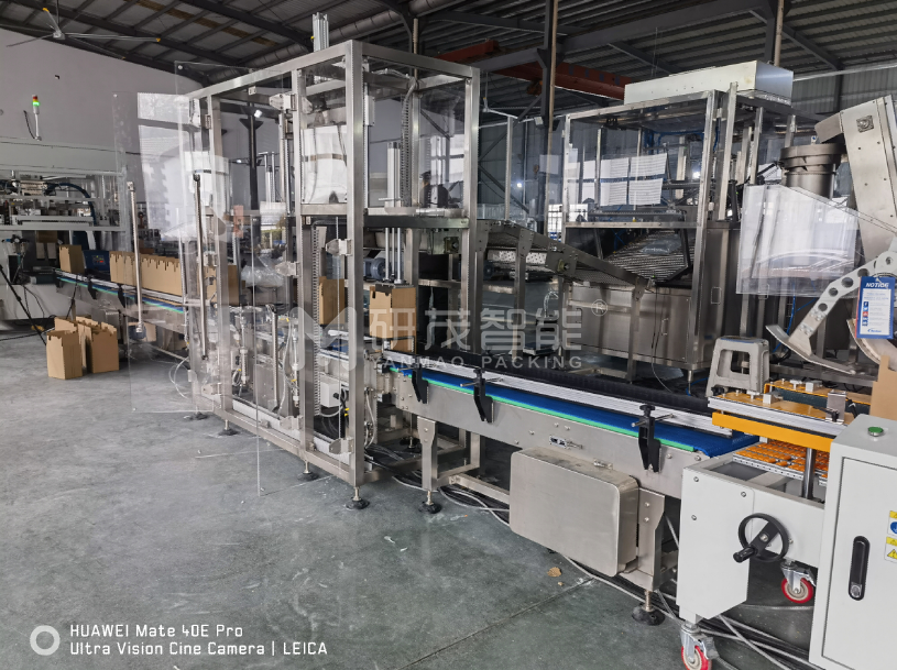 智能兩軸機器人裝箱機——定制化適用于食品、醫(yī)藥、電子行業(yè)自動化生產(chǎn)線廠家