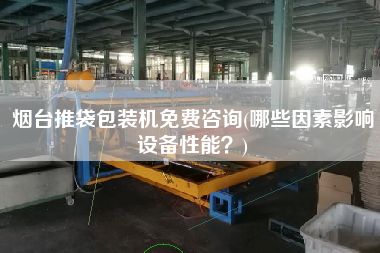 煙臺(tái)推袋包裝機(jī)免費(fèi)咨詢(哪些因素影響設(shè)備性能？)