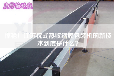 驚艷！江蘇枕式熱收縮膜包裝機的新技術到底是什么？
