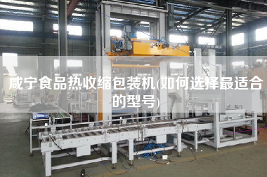 咸寧食品熱收縮包裝機(jī)(如何選擇z適合的型號(hào))