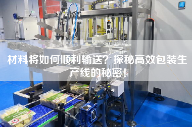 材料將如何順利輸送？探秘高效包裝生產(chǎn)線的秘密！