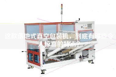 這款落地式真空包裝機(jī)，到底有哪些令人驚喜的特點？