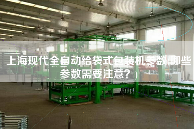 上?，F(xiàn)代全自動(dòng)給袋式包裝機(jī)參數(shù)(哪些參數(shù)需要注意？)