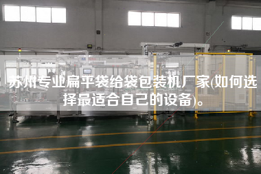 蘇州專業(yè)扁平袋給袋包裝機(jī)廠家(如何選擇z適合自己的設(shè)備)。