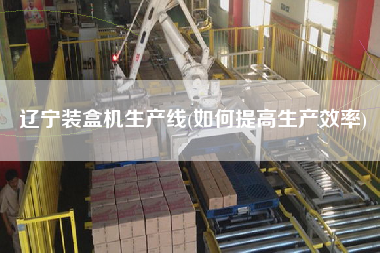 遼寧裝盒機(jī)生產(chǎn)線(如何提高生產(chǎn)效率)