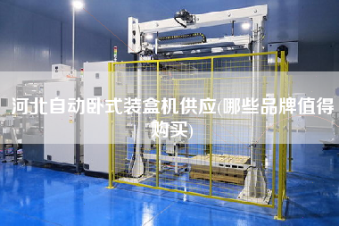 河北自動臥式裝盒機(jī)供應(yīng)(哪些品牌值得X)