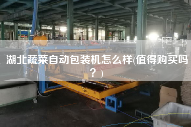 湖北蔬菜自動包裝機怎么樣(值得X嗎？)