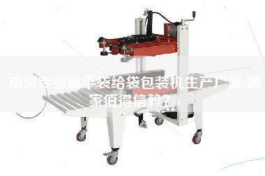 南京專業(yè)扁平袋給袋包裝機(jī)生產(chǎn)廠家(哪家值得信賴？)