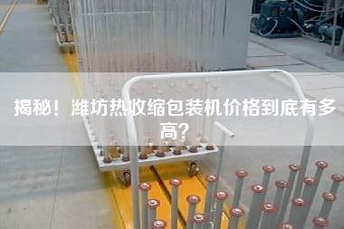 揭秘！濰坊熱收縮包裝機(jī)價(jià)格到底有多高？
