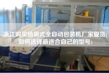 浙江X給袋式全自動包裝機(jī)廠家現(xiàn)貨(如何選擇z適合自己的型號)