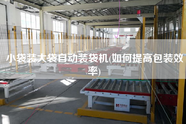 小袋裝大袋自動(dòng)裝袋機(jī)(如何提高包裝效率)
