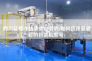 四川藍(lán)莓汁給袋式包裝機(jī)(如何選擇z適合的包裝機(jī)型號)