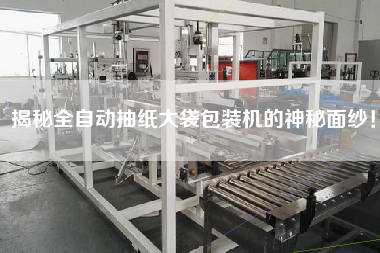 揭秘全自動抽紙大袋包裝機的神秘面紗！