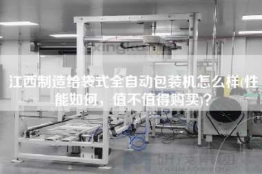 江西制造給袋式全自動(dòng)包裝機(jī)怎么樣(性能如何，值不值得X)？
