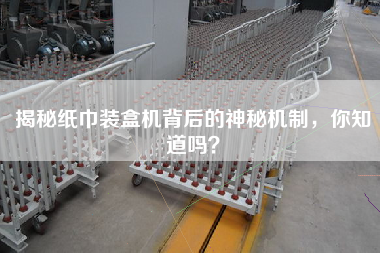 揭秘紙巾裝盒機背后的神秘機制，你知道嗎？