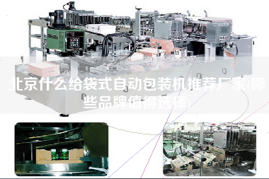 北京什么給袋式自動包裝機(jī)推薦廠家(哪些品牌值得選擇)