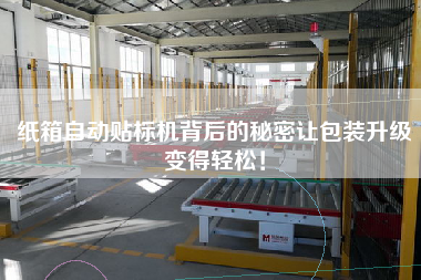 紙箱自動(dòng)貼標(biāo)機(jī)背后的秘密讓包裝升級(jí)變得輕松！