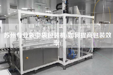 蘇州專業(yè)袋中袋包裝機(如何提高包裝效率)