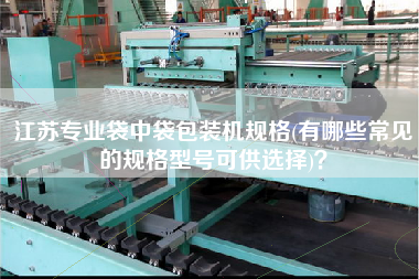江蘇專業(yè)袋中袋包裝機(jī)規(guī)格(有哪些常見的規(guī)格型號(hào)可供選擇)？