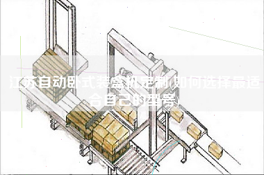 江蘇自動臥式裝盒機定制(如何選擇z適合自己的型號)