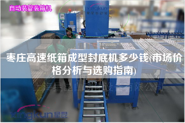 棗莊高速紙箱成型封底機(jī)多少錢(qián)(市場(chǎng)價(jià)格分析與選購(gòu)指南)
