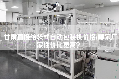 甘肅直接給袋式自動(dòng)包裝機(jī)價(jià)格(哪家廠家性價(jià)比z高？)