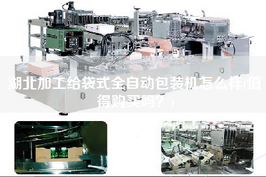 湖北加工給袋式全自動包裝機怎么樣(值得X嗎？)
