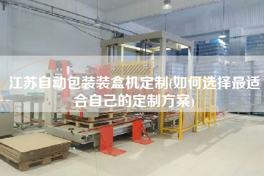 江蘇自動(dòng)包裝裝盒機(jī)定制(如何選擇z適合自己的定制方案)
