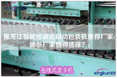 黑龍江智能給袋式自動包裝機(jī)推薦廠家(哪些廠家值得選擇？)