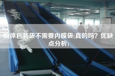 粉體包裝袋不需要內(nèi)膜袋(真的嗎？?jī)?yōu)缺點(diǎn)分析)