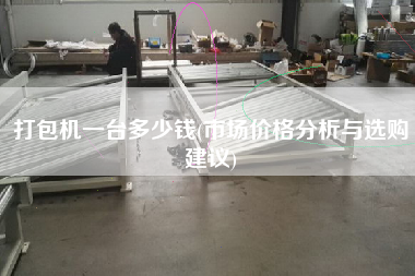 打包機(jī)一臺(tái)多少錢(市場(chǎng)價(jià)格分析與選購(gòu)建議)