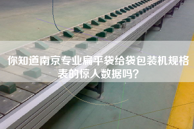 你知道南京專業(yè)扁平袋給袋包裝機規(guī)格表的驚人數(shù)據(jù)嗎？