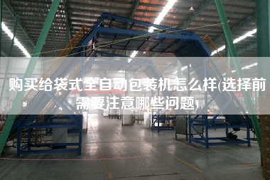 X給袋式全自動(dòng)包裝機(jī)怎么樣(選擇前需要注意哪些問(wèn)題)
