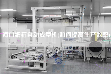 海口紙箱自動(dòng)成型機(jī)(如何提高生產(chǎn)效率)
