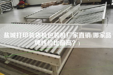 鹽城打印裝袋機(jī)包裝機(jī)廠家直銷(哪家品牌性價(jià)比z高？)