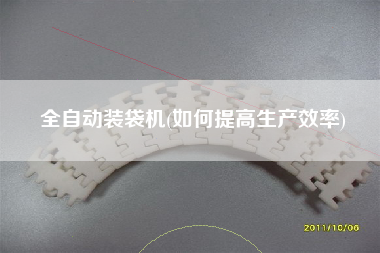 全自動(dòng)裝袋機(jī)(如何提高生產(chǎn)效率)