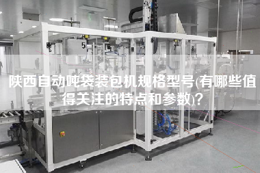 陜西自動噸袋裝包機規(guī)格型號(有哪些值得關注的特點和參數(shù))？