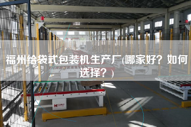 福州給袋式包裝機(jī)生產(chǎn)廠(哪家好？如何選擇？)