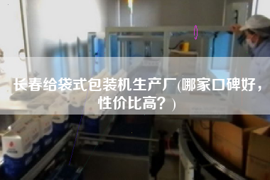 長春給袋式包裝機生產(chǎn)廠(哪家口碑好，性價比高？)