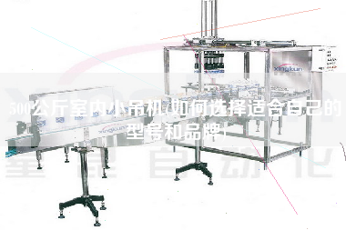 500公斤室內(nèi)小吊機(jī)(如何選擇適合自己的型號和品牌)