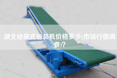 湖北給袋式包裝機(jī)價(jià)格多少(市場行情調(diào)查)？
