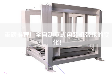 重磅推薦！全自動(dòng)立式包裝機(jī)帶來的變化！