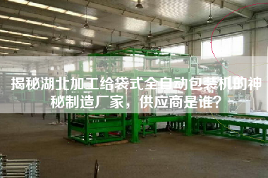 揭秘湖北加工給袋式全自動(dòng)包裝機(jī)的神秘制造廠家，供應(yīng)商是誰(shuí)？