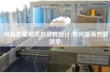河南定量蔬菜包裝機設(shè)計(如何提高包裝效率)