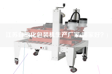 江蘇自動化包裝機生產(chǎn)廠家(哪家好？)