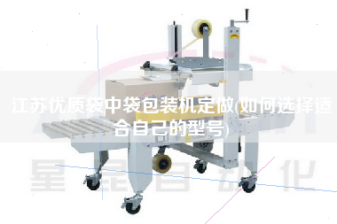 江蘇優(yōu)質(zhì)袋中袋包裝機定做(如何選擇適合自己的型號)