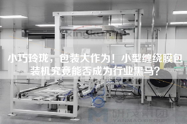 X，包裝大作為！小型纏繞膜包裝機(jī)究竟能否成為行業(yè)黑馬？