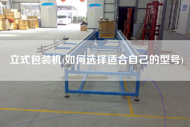 立式包裝機(jī)(如何選擇適合自己的型號)