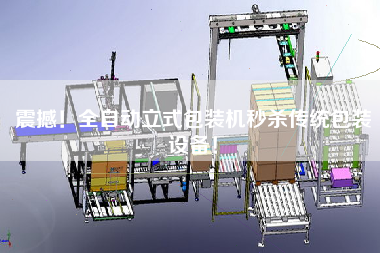震撼！全自動(dòng)立式包裝機(jī)秒殺傳統(tǒng)包裝設(shè)備！