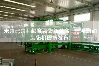 未來(lái)已來(lái)！糧食裝袋新革命——全自動(dòng)裝袋機(jī)震撼發(fā)布！